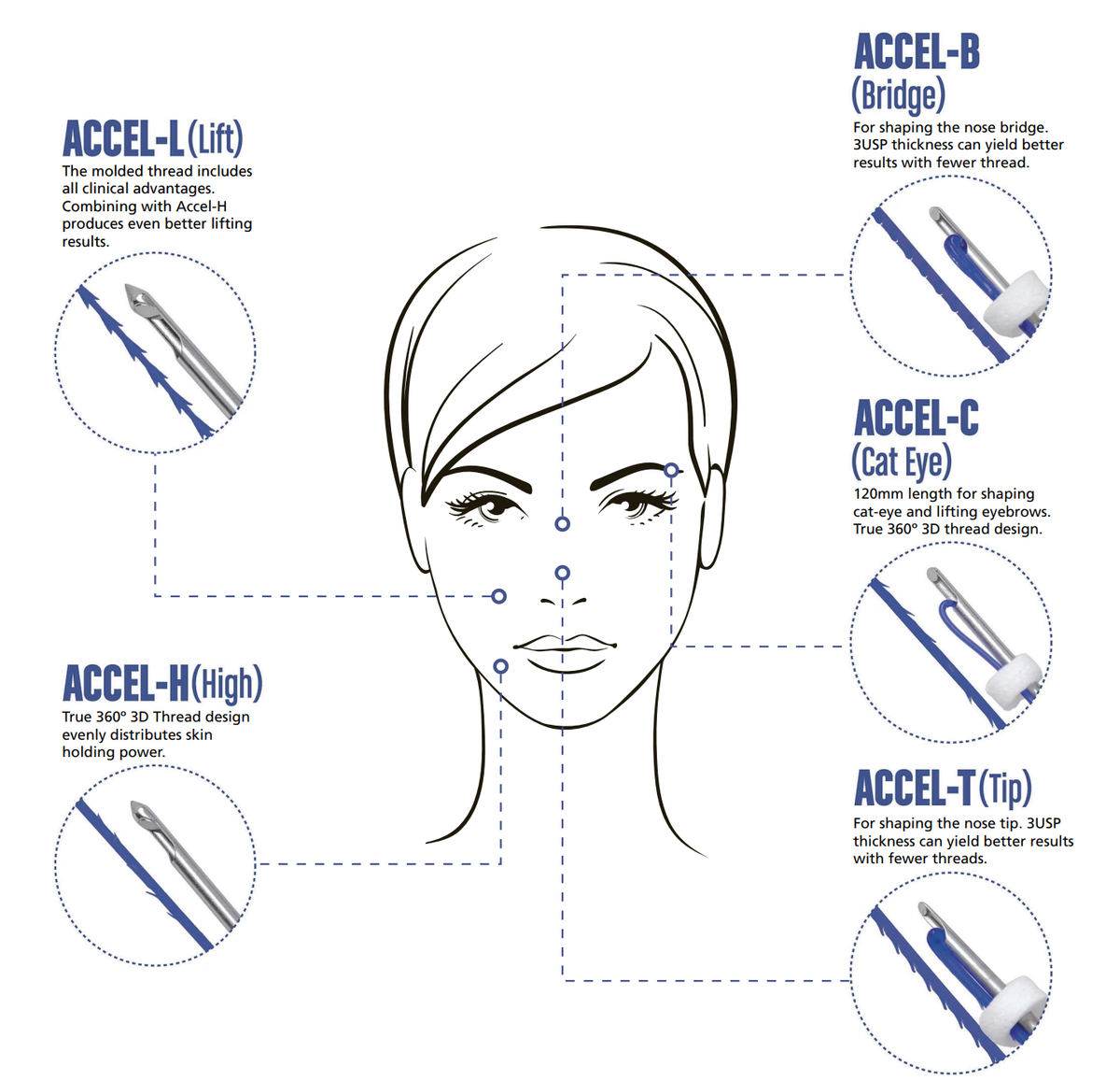 ACCEL-S (Spring) 38mm